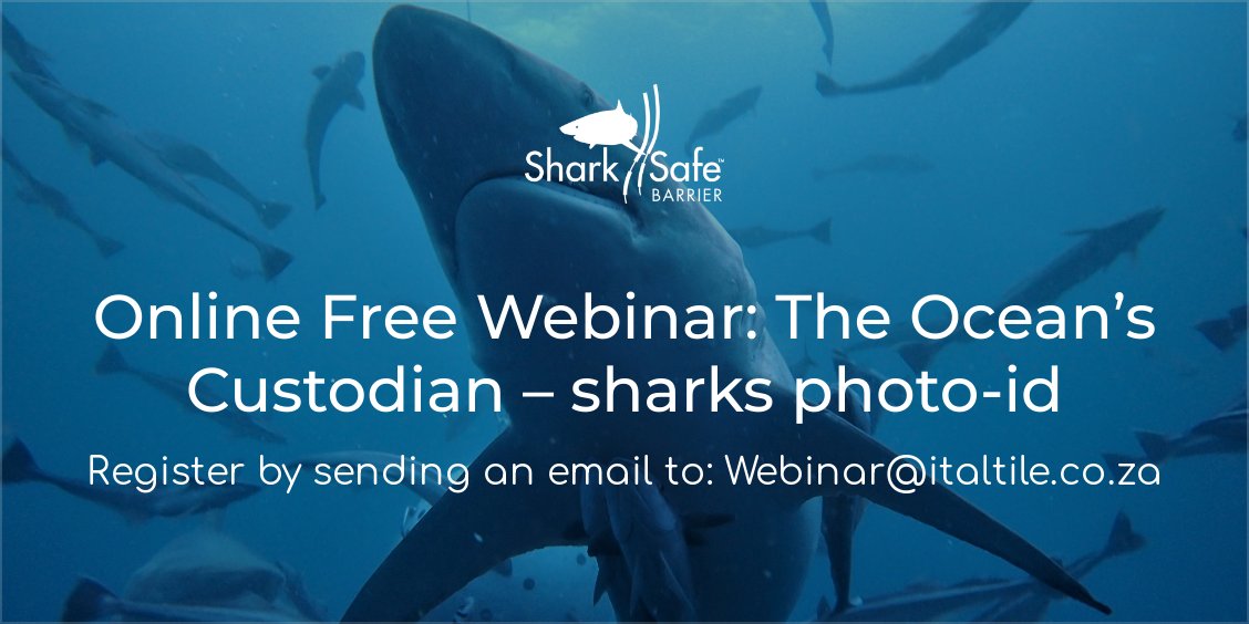 SharkSafe Barrier Pty Ltd tweet media