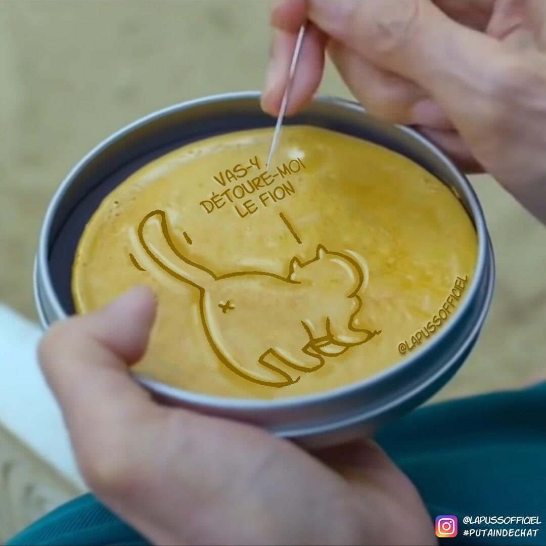 Putain_de_Chat's tweet image. Squid Greffier #PutainDeChat 

🔥Le tome 9 de Putain de chat sera dispo le 27 octobre 2021 précommande-le sur le lien ci-dessous, tous les livres de la série sont dispo partout :

⚡ linktr.ee/putaindechat ⚡

#Squidgame #DalgonaCandyChallenge￼ #netflix