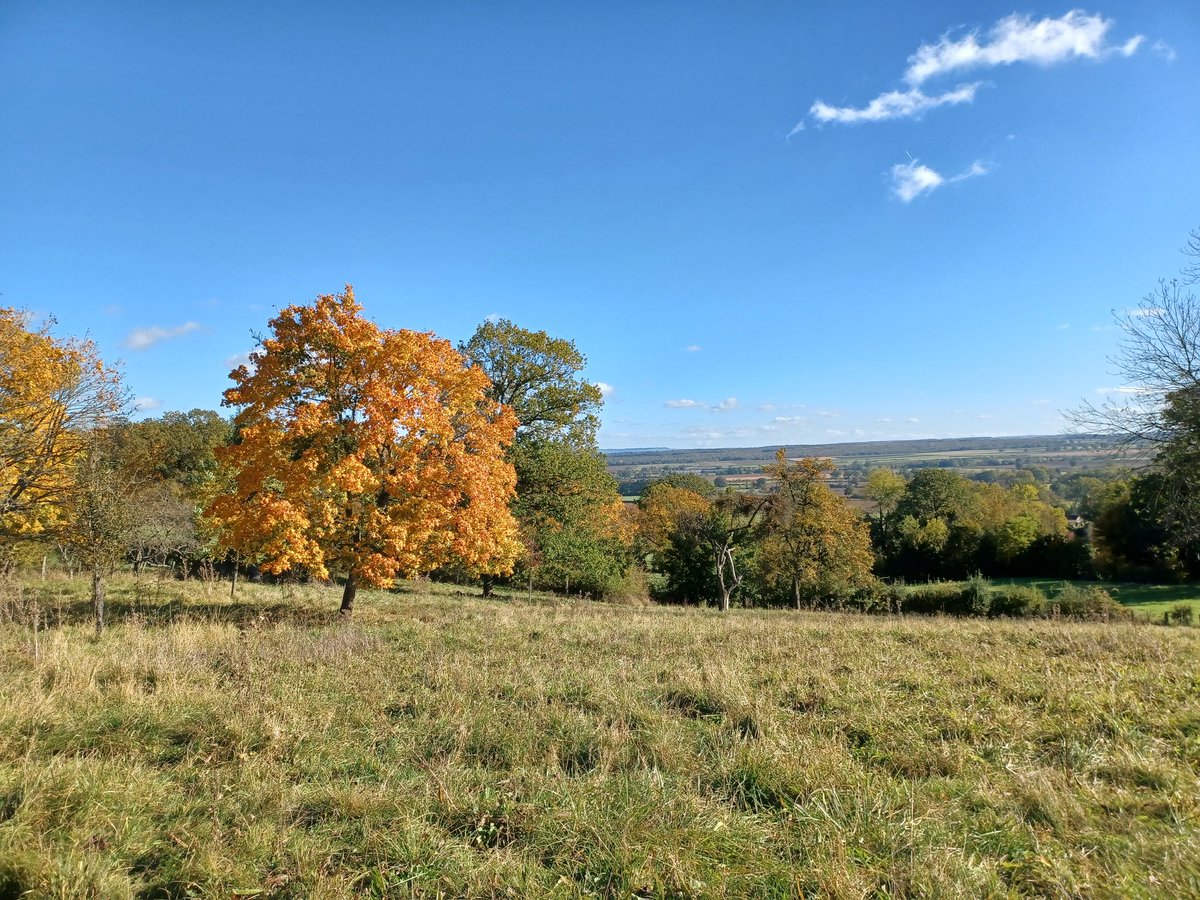 ACauthor's tweet photo. Bon jour from Burgundy. To quote the late great Bill Withers it's gonna be... a lovely day. #WritingLife #frenchleave #pointofview #seasonofmellowfruitfullness https://t.co/7vjLFmTR72