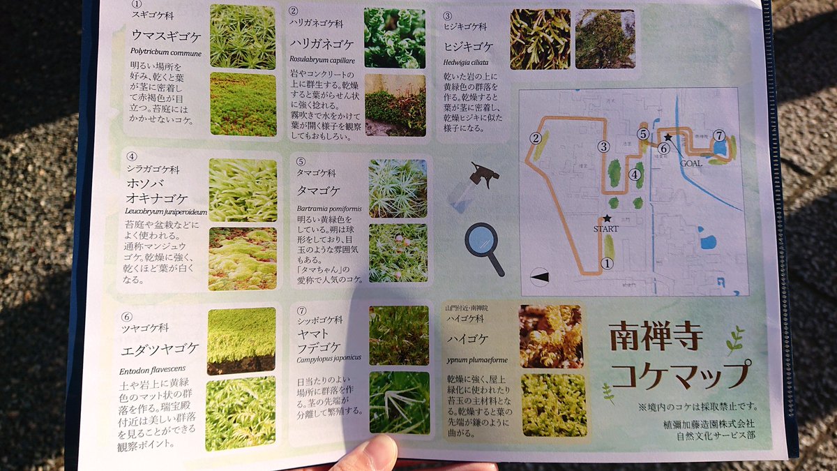 池田友美on Twitter T Co Gfdaqet8yp Twitter