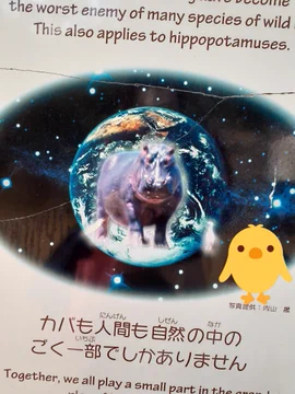 画像 / Picture