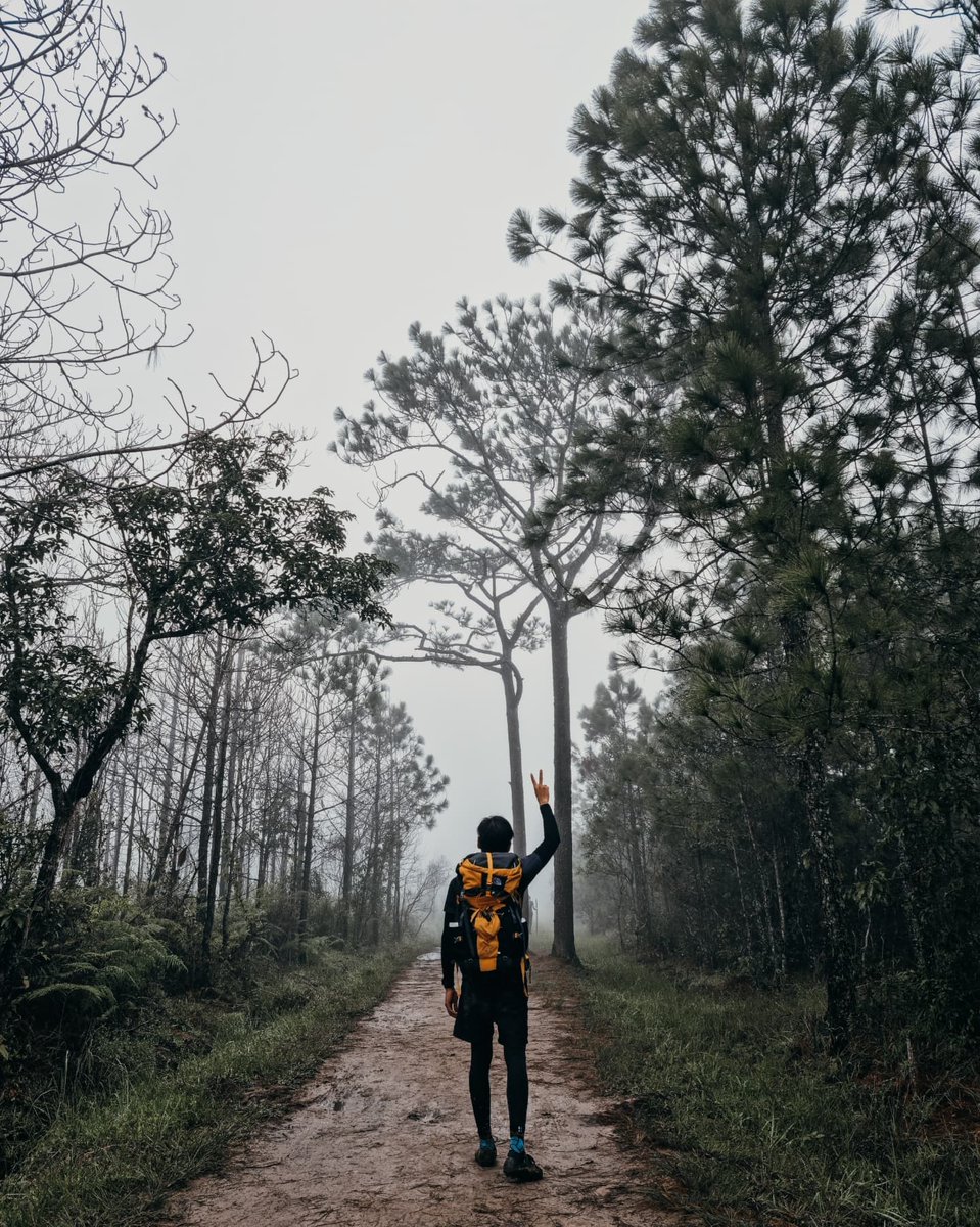MetasFaridP's tweet photo. Without the rain, nothing grows.
Learn to embrace the storm of your life.
#Pre_debut pics
#phukradueng #thailandtravel #camping #Backpacking #Travel #Trip #thailand #tourism #Backpacker #Wanderer #wanderlust #litely #Camera #photography #travelgram #adventure #explorebetter https://t.co/wbmyjXNTIG
