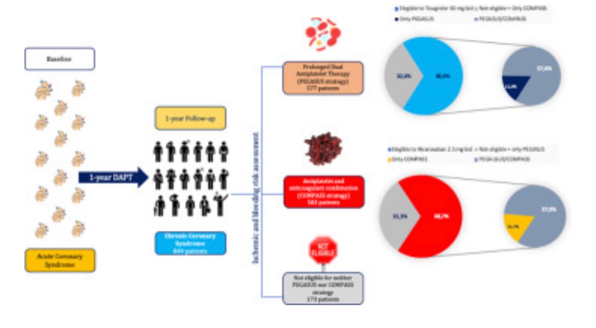 International Journal of Cardiology (@ijcardio) on Twitter photo Eligibility criteria for prolonged DAPT: important findings from the START-ANTIPLATELET registry <a href="/escardio/">European Society of Cardiology</a>.org sciencedirect.com/science/articl… Eligibility criteria for prolonged DAPT: important findings from the START-ANTIPLATELET registry <a href="/escardio/">European Society of Cardiology</a>.org sciencedirect.com/science/articl…