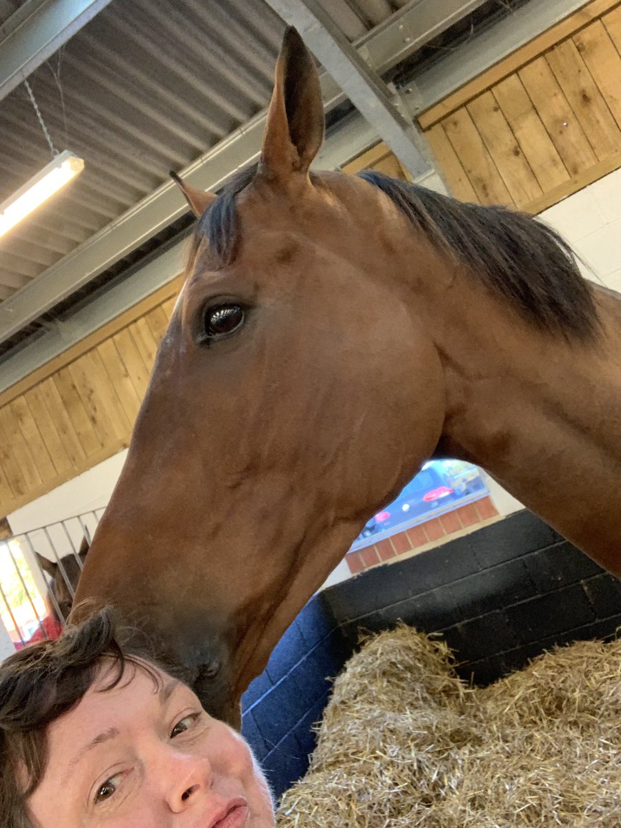 wiggledotdot's tweet photo. Hope the extra hay hair didn’t put any weight on you! How can @OliverSherwood say you looked like you were having twins when you came back after summer! Yesterday has my long Covid done in so non-runner. Faz will be there cheering you home #JerseyBean ♥️ @CheltenhamRaces https://t.co/tKSTmcuej7