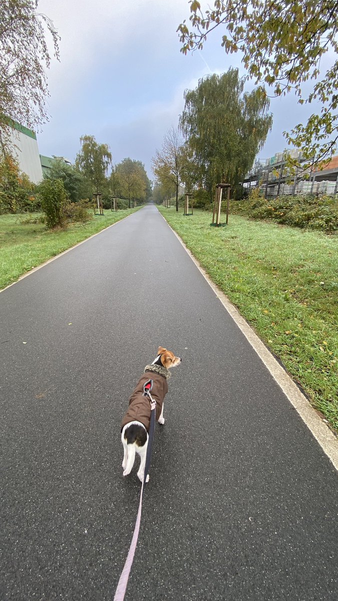 Guten Morgen meine Freunde