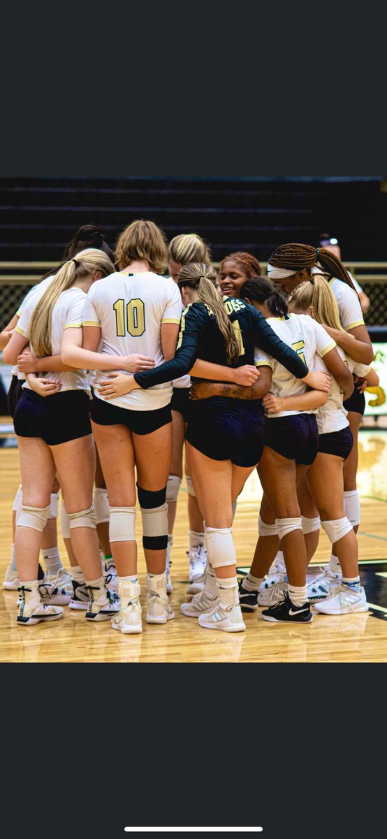 CoachOrms's tweet photo. This crew… 💛🖤 https://t.co/49IZfTGFAr