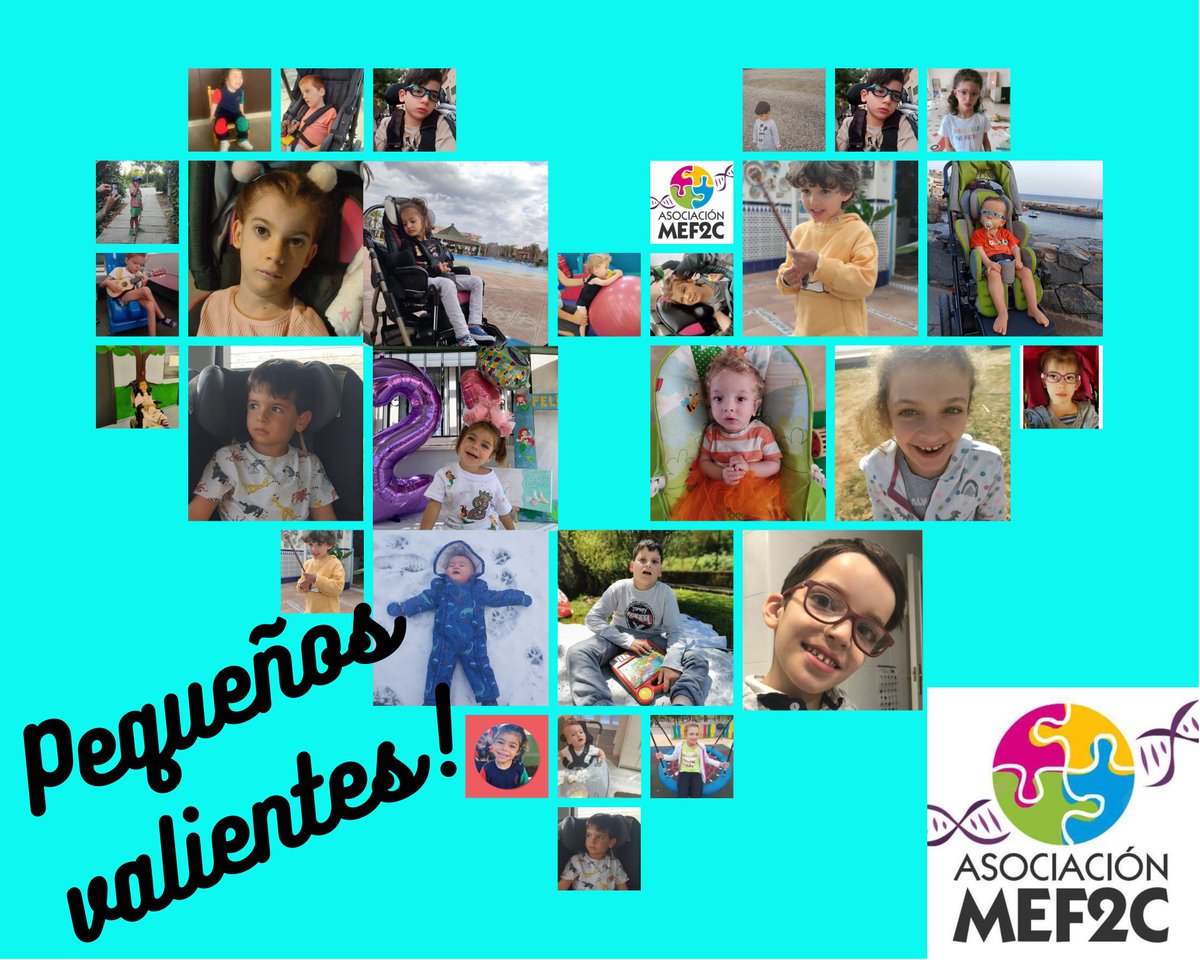 Desde que se creó esta asociación el número de familias ha crecido. Son pequeños y pocos pero valientes. Cada día se superan en sus límites. Y su sonrisa vale millones.¿Nos ayudas a compartir?
#MEF2C #LoImposibleSoloCuestaMas