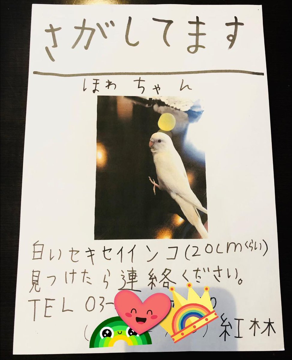 shinayaka_web's tweet photo. 【拡散希望！東京都世田谷区でインコ🦜迷子！心折れそうです💦】
名前がホワちゃん。４時間近所を「ほわちゃ〜ん」と叫びつつ歩き回り、ヘトヘトです💦。今夜は寒いし、ご飯もなくて倒れているんじゃないか？と...(；；)
【特徴】
・目が赤色。足の指の爪が一本無い。
・人懐っこく手乗りインコです。 https://t.co/Qci4uZAZT2