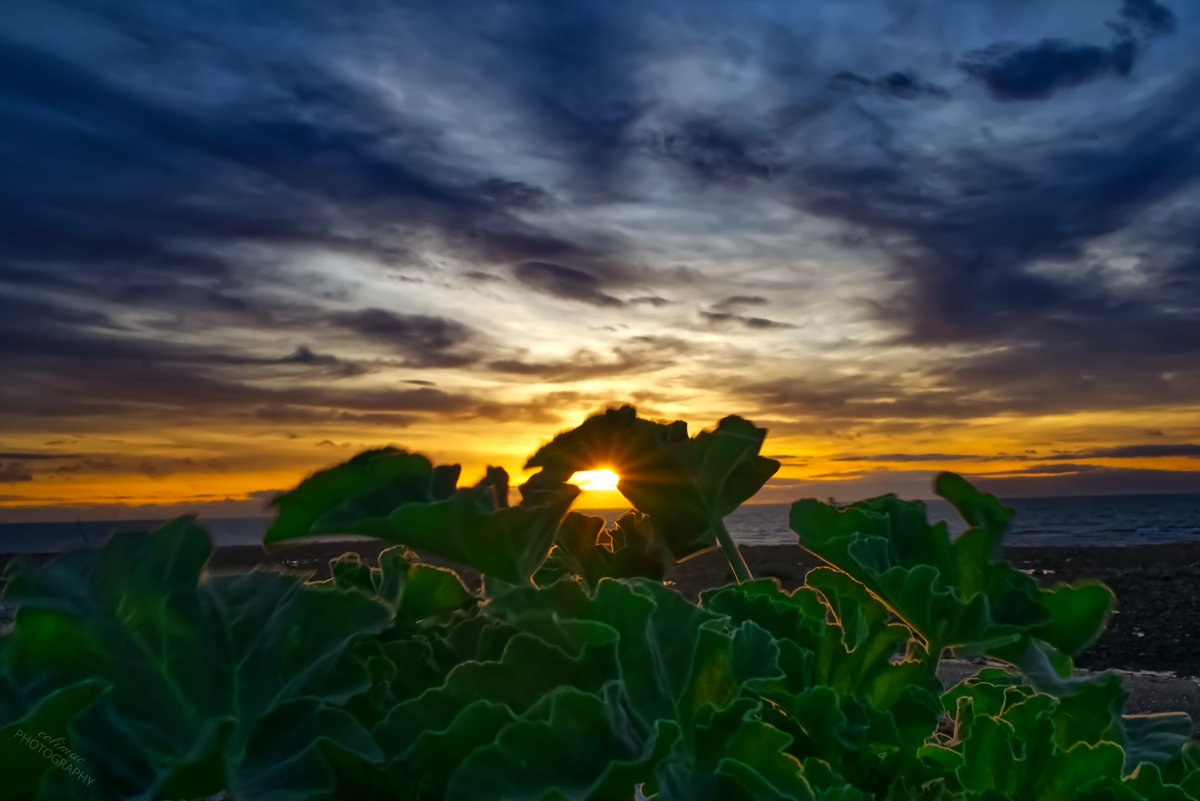 colimac_explores tweet media