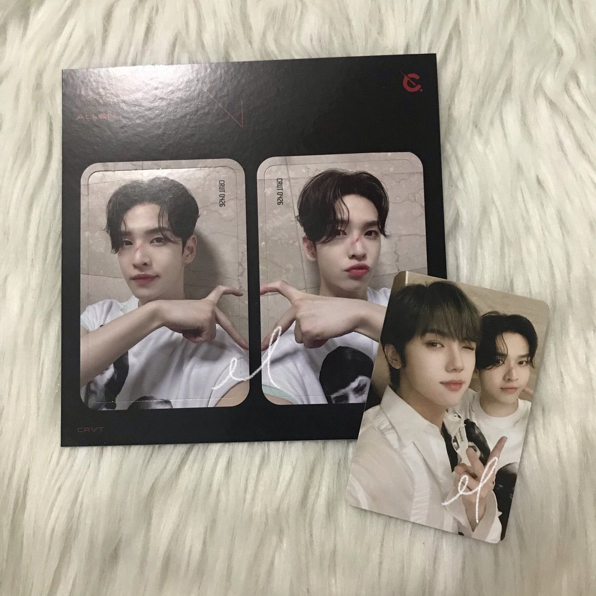 leonicart's tweet photo. #ali_feedbacks @serimcart ༉‧₊˚✧ 

healingz mail 💌 they finally came home ^__^ they were well packed ! thank u sm po for letting me adopt them 🤍 https://t.co/Sffq5wIIcc