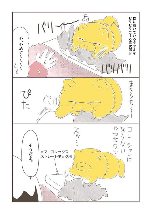 毛布はコレです。 