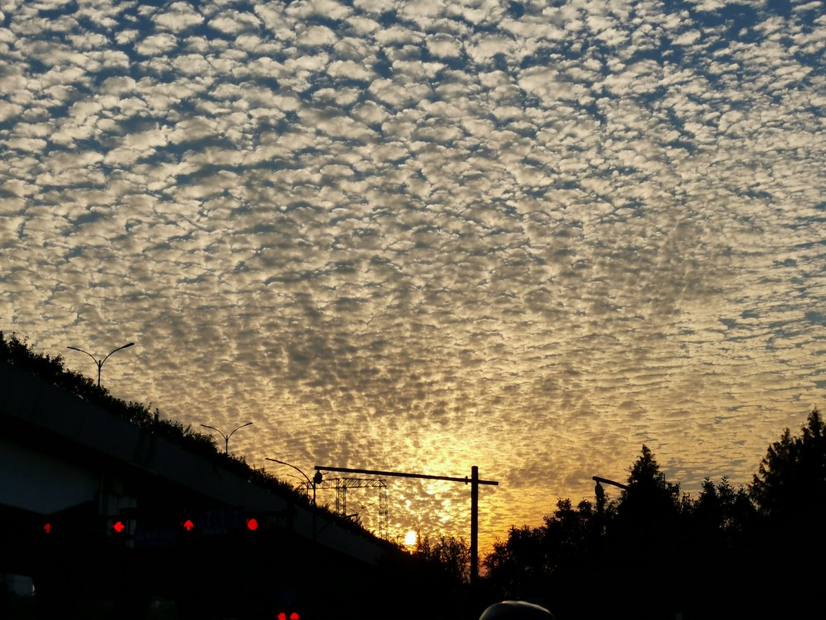 jeerrl's tweet photo. 有那味☁️ https://t.co/xR53NfQa9n