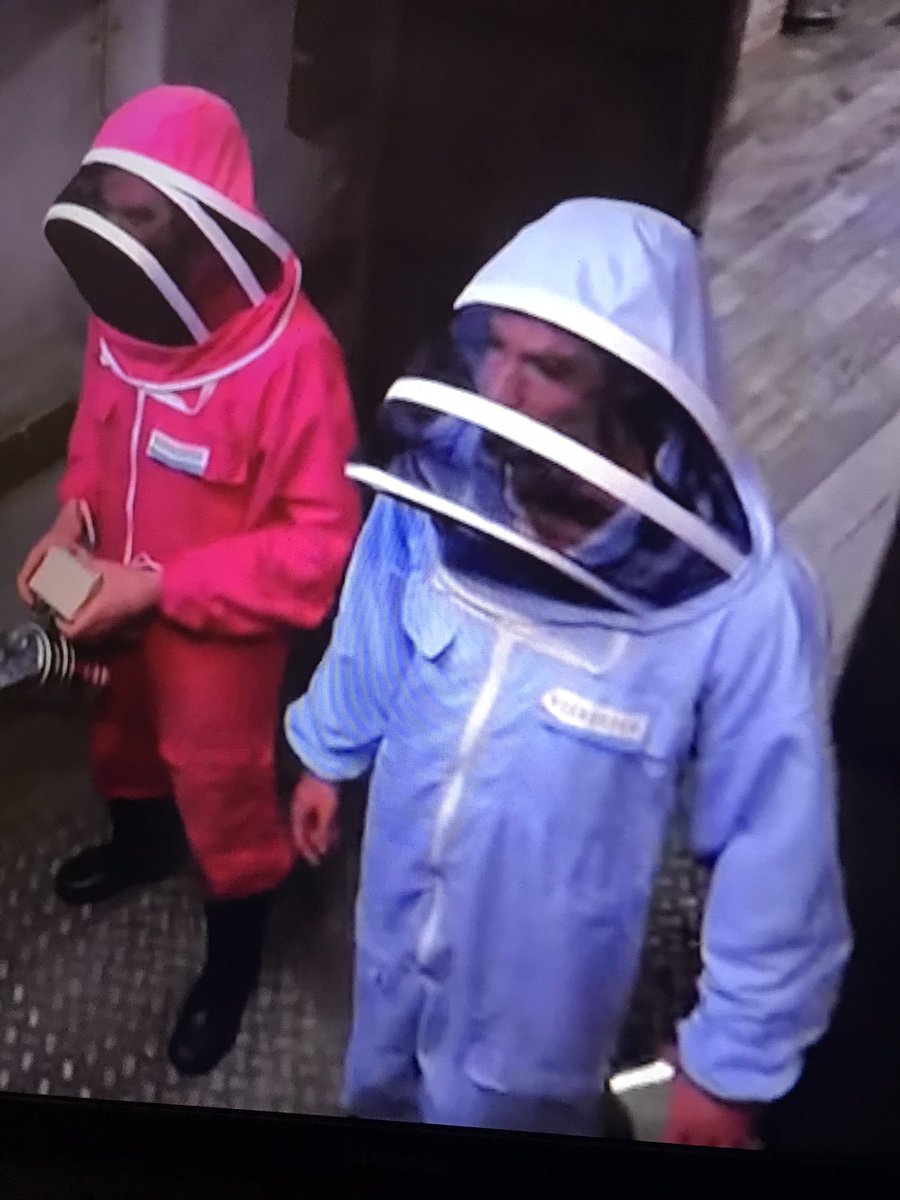 JakeNeilson12's tweet photo. @safemoon @FaboisMe @TheFudHound @SafemoonWarrior @SafemoonJoe Which suit could get you to the moon faster, safemoon suit or shiba suit? 🚀🚀🚀 https://t.co/at2MY7Ahqz