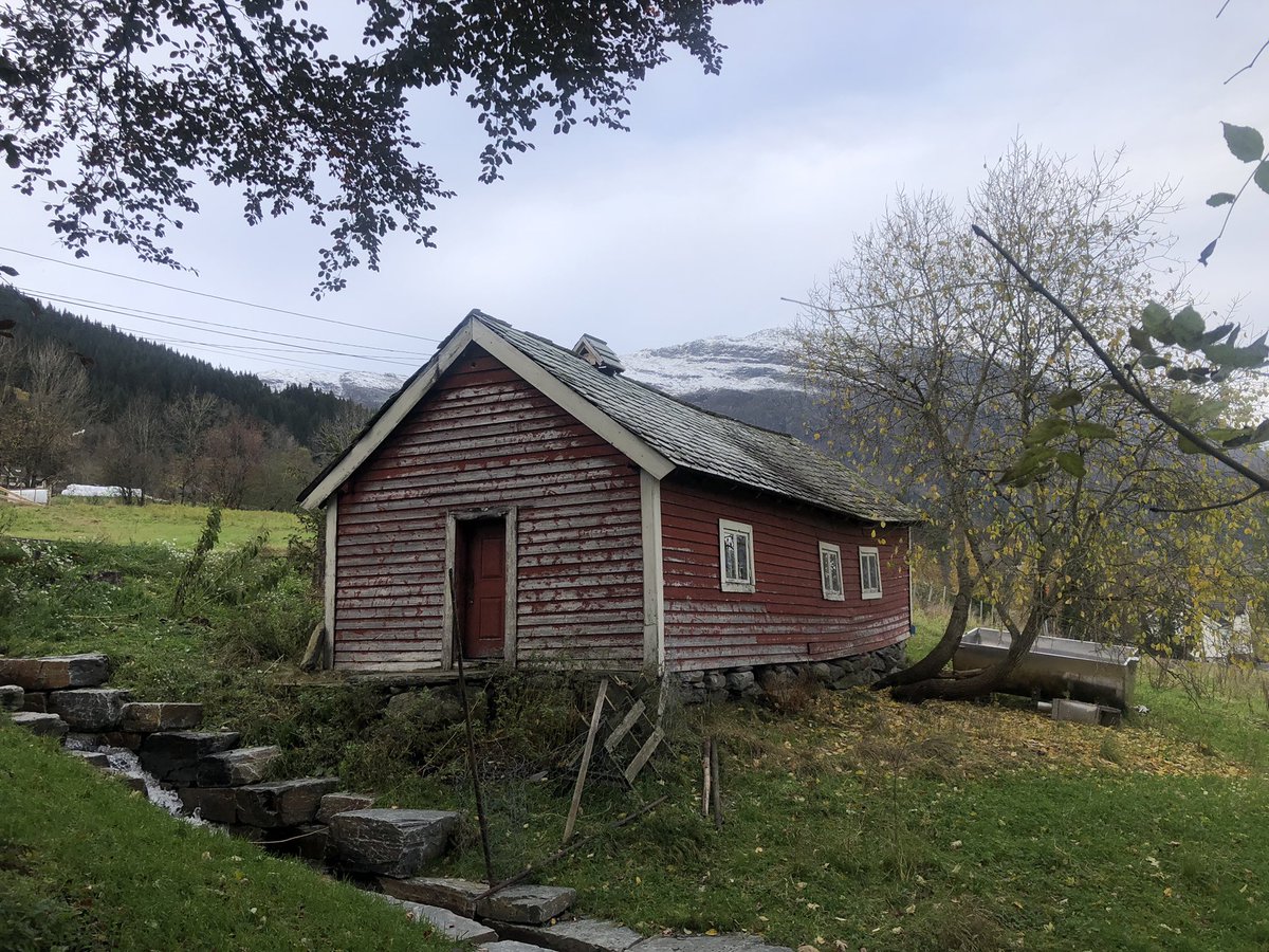 VidarSkeie's tweet photo. Slakta sau i dag, ålreite dyr #gns Neste helg røyking i #eldhus og jolaøl neste #kveik #voss #vossaøl https://t.co/9FvbJsivge