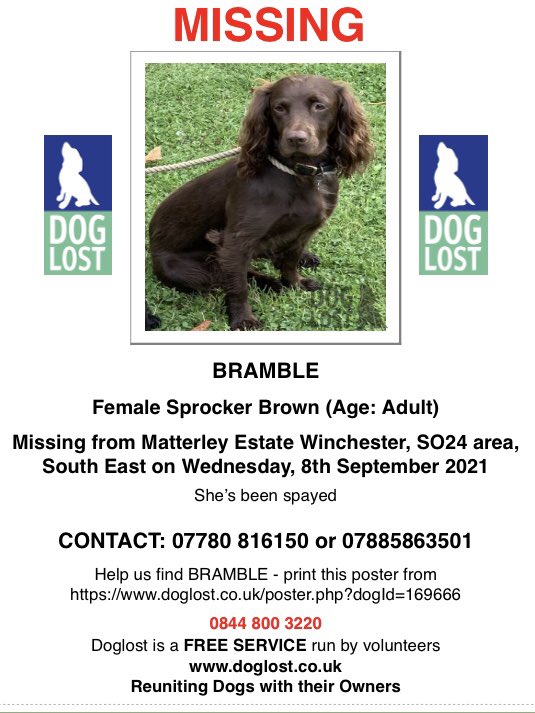 RachaelB100's tweet photo. #bringbramblehome
#Sproker #Spaniel #Missing #Matterley #Estate #Winchester #SO24 8/9/21
#Spayed #Chipped
❗️Seen her in your Area? #PetTheft
❗️Did you find her unaware had a loving home? #TheftByFinding
❗️Pls look out for her 🙏
https://t.co/6SDQNzYP9N
https://t.co/QLdea6huus https://t.co/1zpRlsRecL