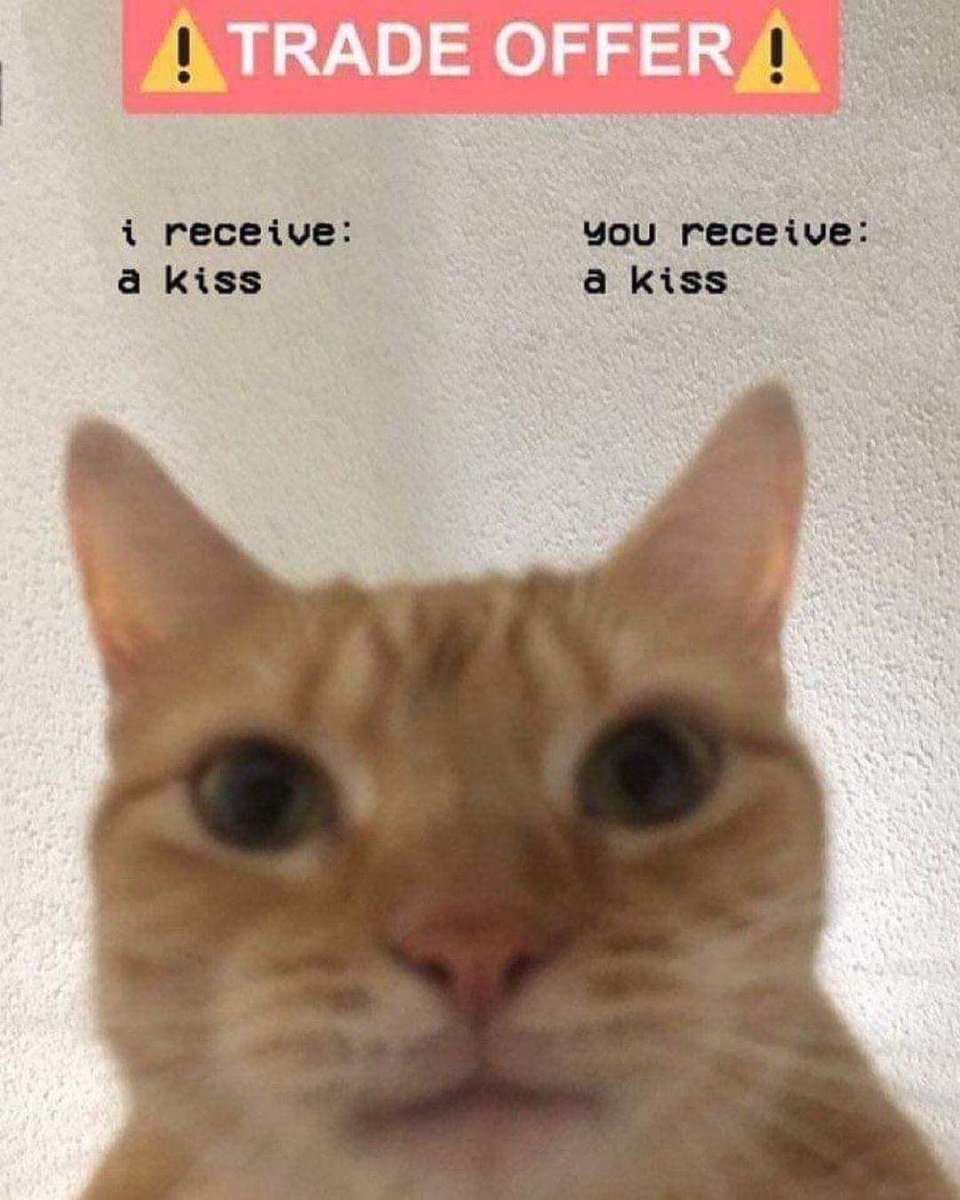 WholesomeMeme's tweet photo. https://t.co/u9hu7QaCKO