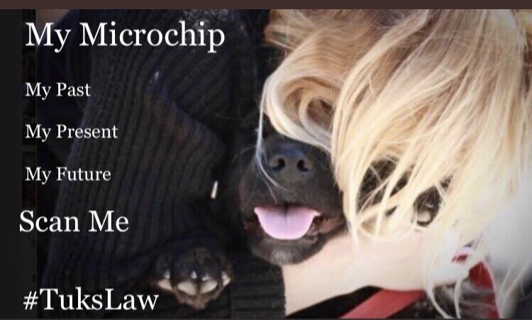 Ensuring rescue and breeder contact details remain on microchips for life ensures traceability in all situations. 

Back Up contact details is an area that both <a href="/DefraGovUK/">Defra UK</a> and government endorsed databases are taking seriously. Keep supporting #TuksLaw 

petition.parliament.uk/petitions/5923…