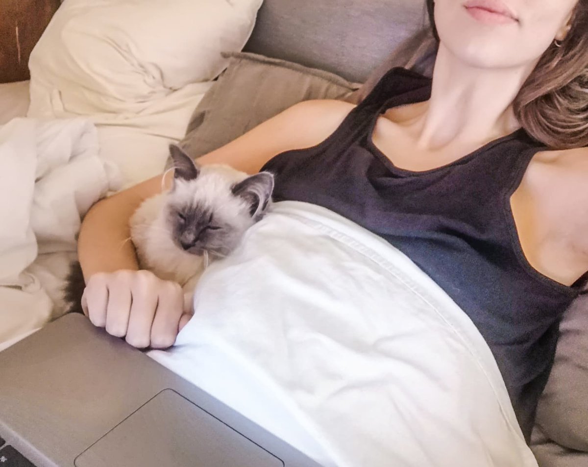 Helo! I'm very quiet on this lately because life is very hectic in my new job, and I've been doing a lot of work on myself since having a bad start to the year. But I've fallen in love again after I thought it wouldn't be possible... this is Minou. :)