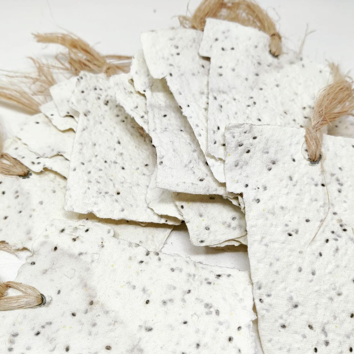 bluecatpaper's tweet photo. Plantable seed paper tags are creating a buzz
https://t.co/Y6AlWxyJRS

#plantablehangtags #seedpapertags #hangtags #treefreepaper #handmade #paper #sustainablepaper #earthfriendlypaper #handcrafted #sustainablegifts #naturalpaper #bluecatpaper https://t.co/2mxcnDEISM