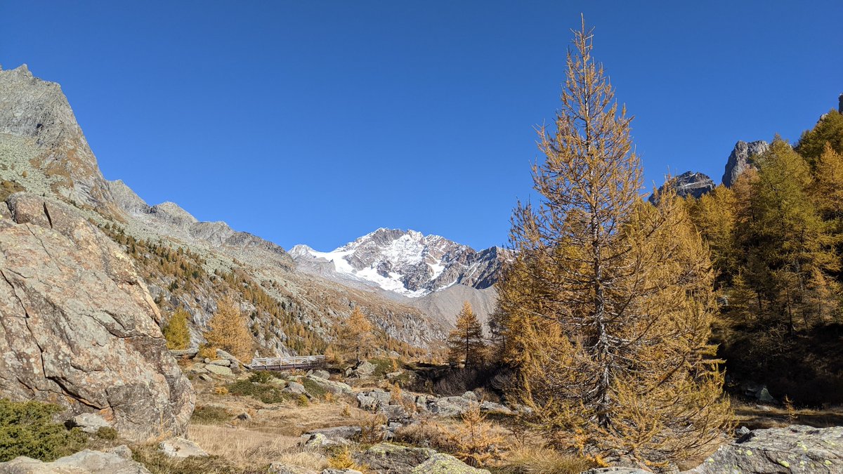 stebaraz's tweet photo. Bello il Canada in Lombardia #PredaRossa https://t.co/b8yMfhio86