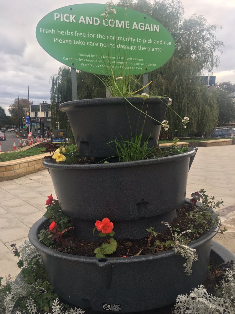 Chapel A big planter looking alive and healthy again! Thank you to whoever is taking care of it. Much appreciated.