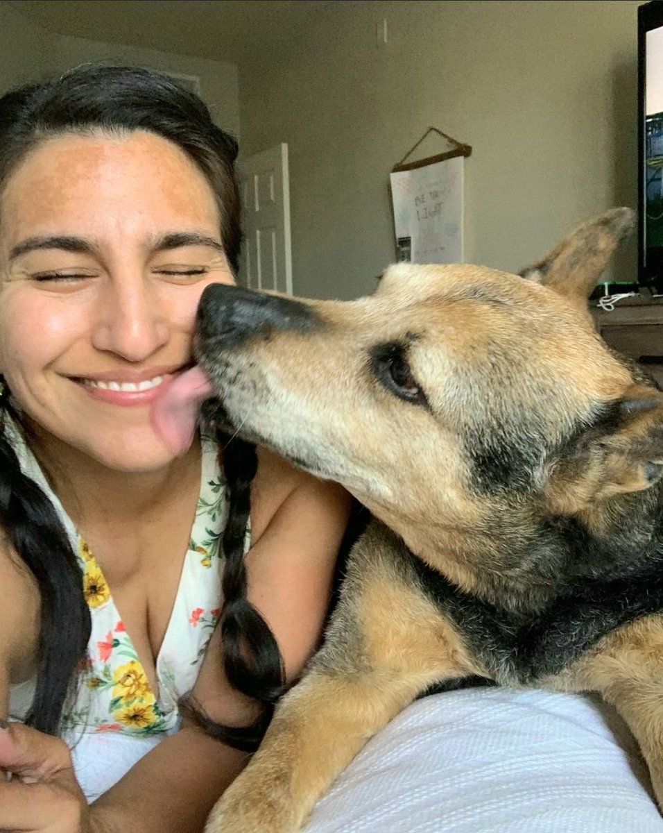 DogLikeMe's tweet photo. #WhyYouShouldAdoptASeniorPet Because they need love too! Read Andrea &amp; Mason's story in the link below!
https://t.co/GHvyzStqv1 https://t.co/LksDEpJyGH