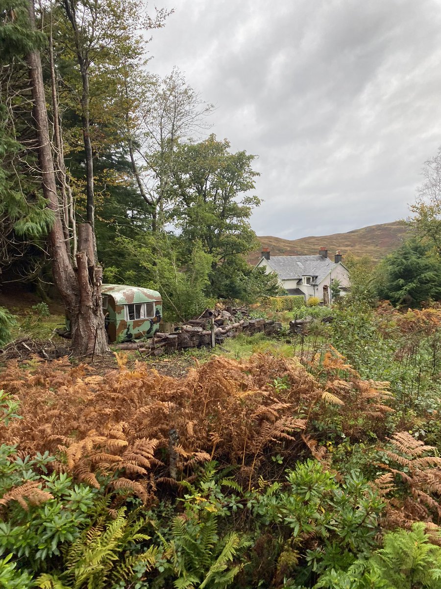 Carol Kirkwood tweet media