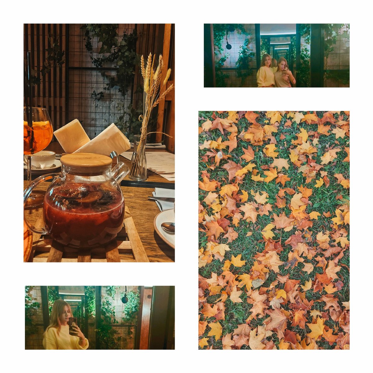 _KateNova118's tweet photo. #autumn #October2021 #yellow https://t.co/OHTkveJk8X