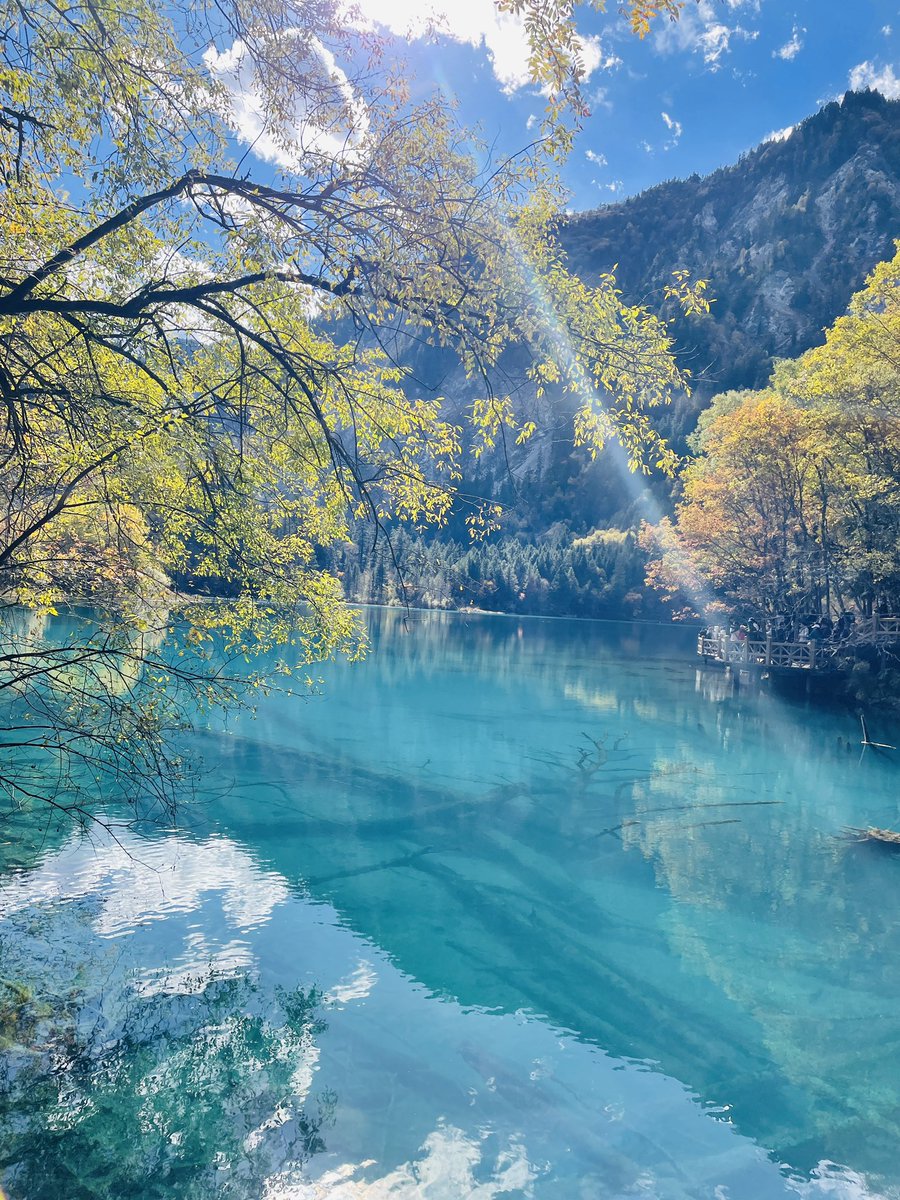 qiner0922's tweet photo. 2021.10.23 in jiuzhaigou https://t.co/zUsr1BiSac