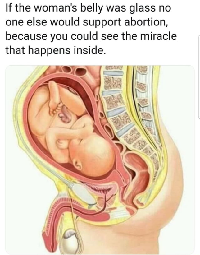 hang on a minute ... 🧐