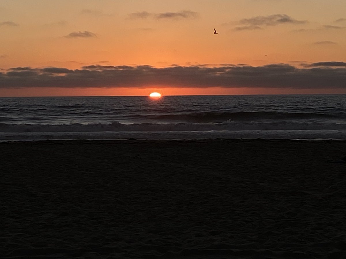 ⁦<a href="/lorrainerivera/">Lorraine Rivera</a>⁩ will appreciate this. It’s all I had to work with in Pacific Beach at the moment.
