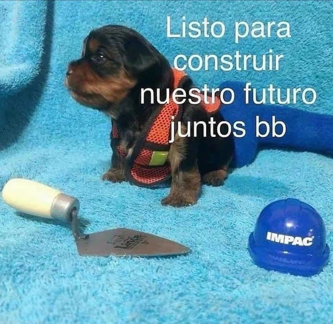 SuavesLomitos's tweet photo. https://t.co/HoJeL6XNej