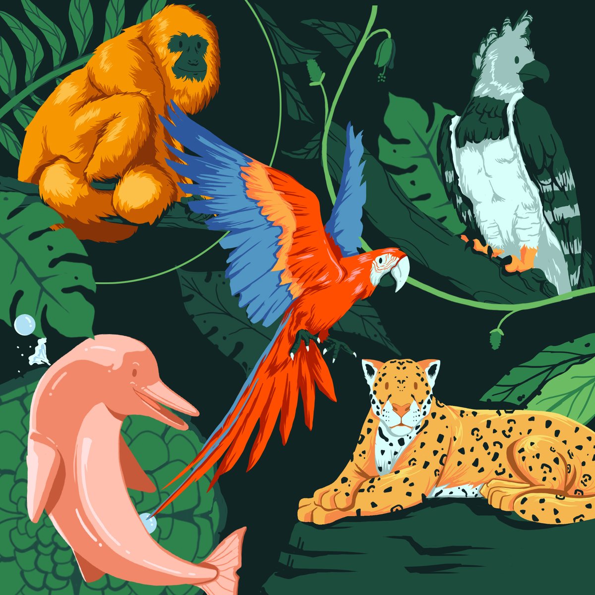 IPAM_Amazonia's tweet photo. Eu estou cheia de curiosidade para saber qual amigo da floresta você é! ❤️ esse Tweet pra descobrir e corre pra me contar o resultado! Se você ainda não se juntou a nossa luta em defesa da Amazônia, essa é a hora: venha ser um #ProtetoresDaAmazônia https://t.co/vlFNuKARKR