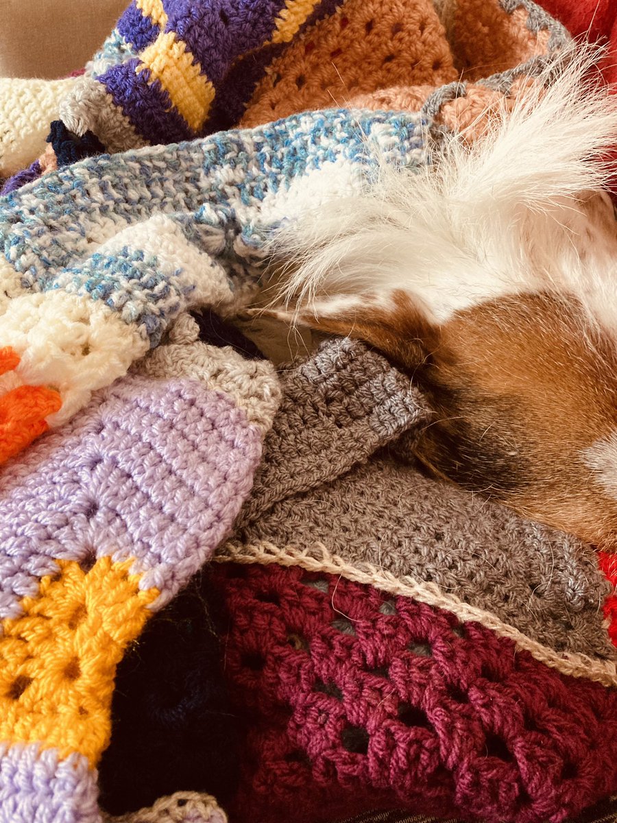 amandaparnel's tweet photo. Looks like Marley likes the new #homemade #crotcheted blanket, not sure Mr P will be happy ❤️ #wellbeing #itsadogslife https://t.co/UwCQlEUhBL
