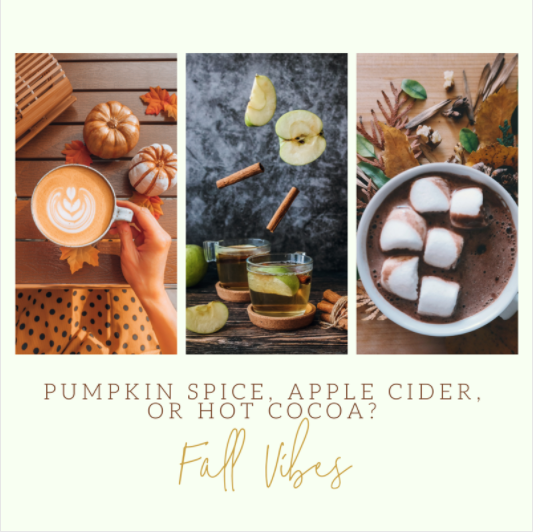 Set2Sell's tweet photo. Which classic fall drink do you prefer?
#PumpkinSpice #AppleCider #FallDrinks #HotChocolate #FallVibes #CozyVibes https://t.co/5x5326tmqJ
