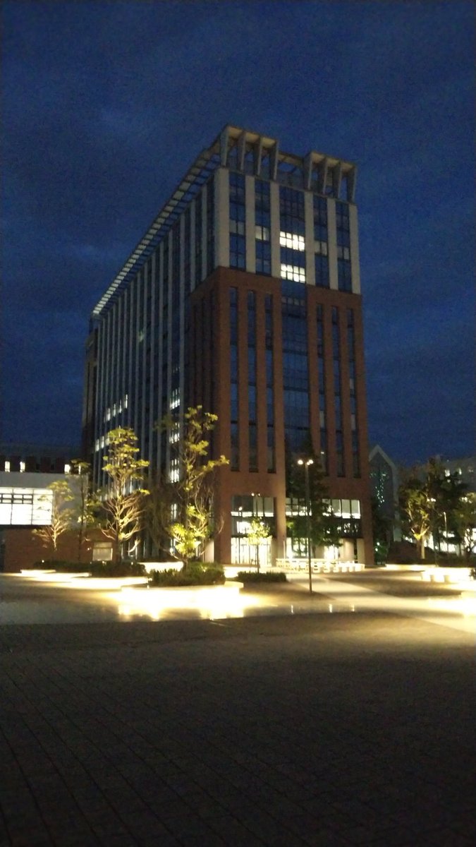 MbAnimal's tweet photo. 夜の大学。 https://t.co/pK47LgxdAo
