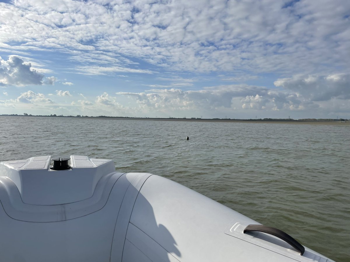 assinkbas's tweet image. Even het water op. Zoeken naar zeehonden. Paar gevonden die minstens net zo nieuwsgierig waren als wij. Vol gas terug richting haven. #scheldesafari #westerschelde #speedboot