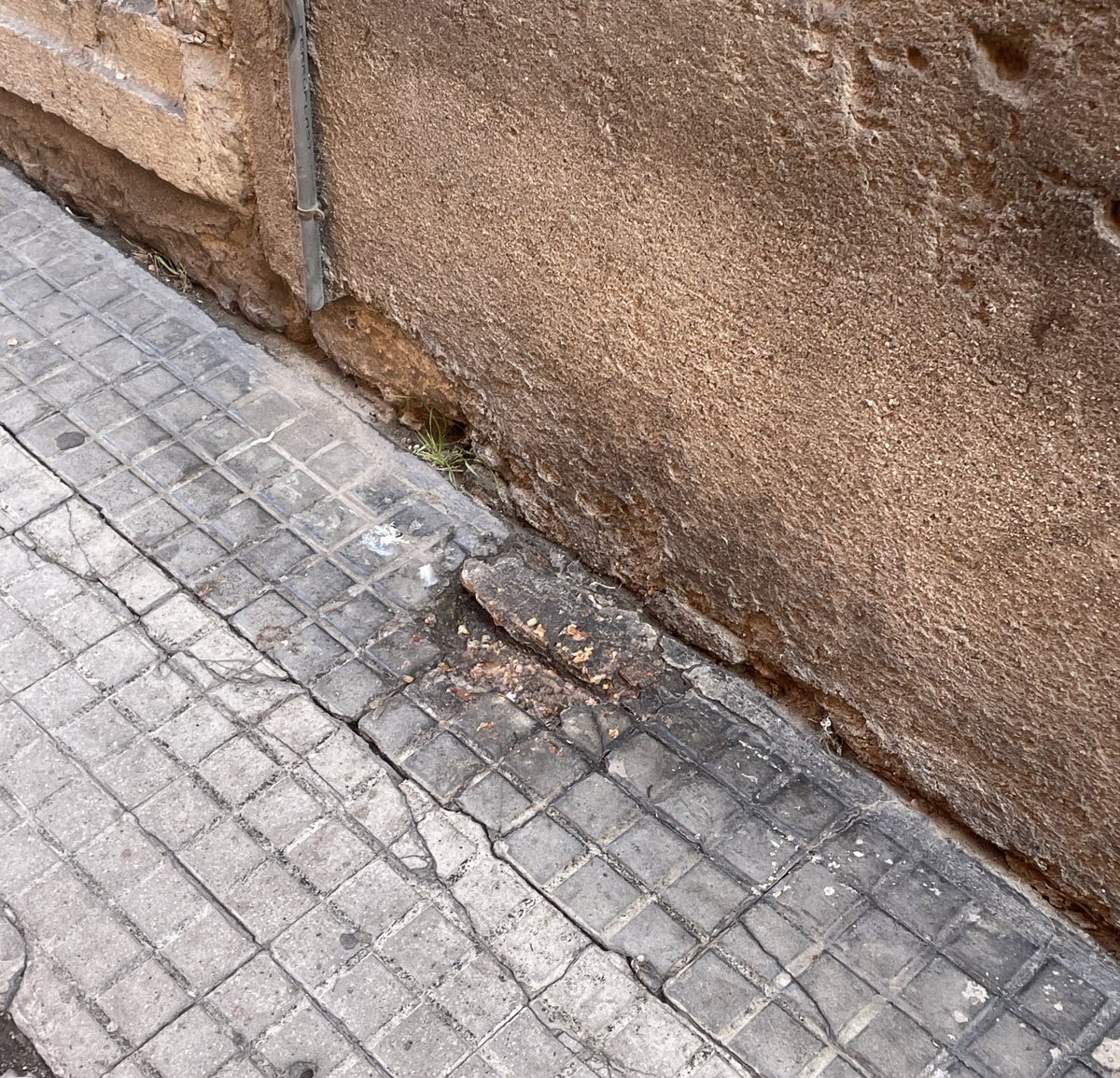 JordiAlasa's tweet photo. El dia a dia del Pipican Ferrers, del Vomitori Salines i del Contenidor Part Alta (sense targetes identificatives).
#Tarragona Patrimoni de la brutícia i l'incivisme.
@TGNAjuntament @TGNApacv https://t.co/Yq4S9ZuUsj