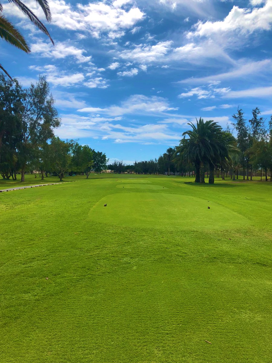 Autumn at Gran Canaria MaspalomasGolf 🍁🍂🌞<a href="/GranCanariaR/">LoveGranCanaria 🇮🇨</a> <a href="/holyber/">𝕆𝕝𝕚𝕧𝕖𝕣 ツ</a> <a href="/EdaFaktor/">Eva D</a> <a href="/Alan1967/">Alan</a> <a href="/IGTMarket/">IGTM</a> <a href="/ECabreraBello/">Emma Cabrera Bello</a> <a href="/RCabreraBello/">Rafa Cabrera Bello</a> <a href="/gctourism/">GranCanaria.com 🌴☀️</a> @CanaryIslandsEN <a href="/EmocionesCan/">Emociones Canarias</a> <a href="/TesorosCanarios/">#TesorosCanarios l♥️🇮🇨</a> <a href="/TiempoDCanarias/">Tiempo de Canarias</a> <a href="/AEMET_Esp/">AEMET</a> <a href="/aworldtotravel1/">A World to Travel ✈</a>