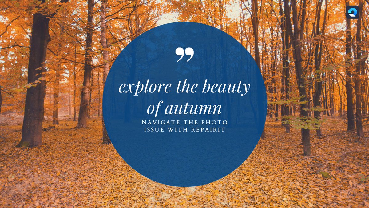 WondershareR's tweet photo. Nice weekend is coming! Explore the beauty of autumn,
#NavigateThePhotoIssueWithRepairit Entries to prizes: https://t.co/eXAv9UaE8N
#Autumn #Saturday #Repairit https://t.co/IeBLMYCVRs