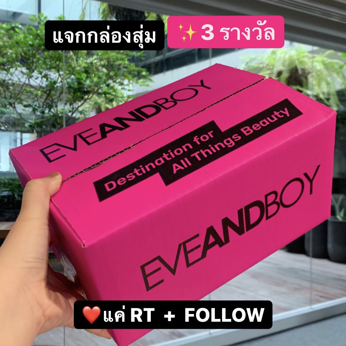 EVEANDBOY tweet media