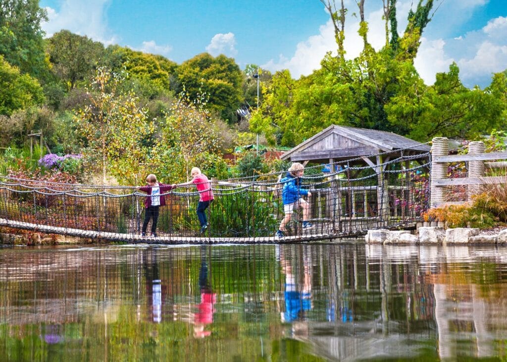 IW Travel Ambassador tweet media