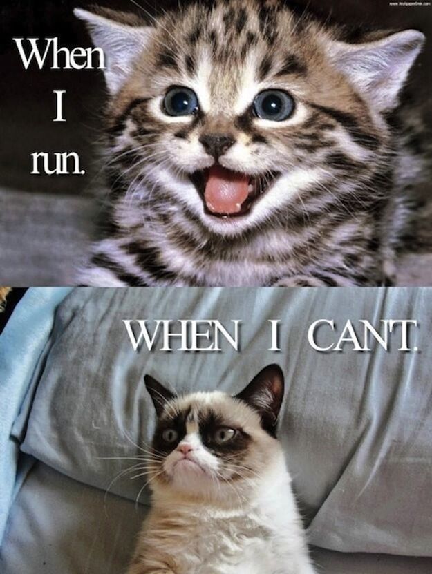 Running2staysa1's tweet photo. Maltesers for breakfast ๐When you can't run so you just sign up for running events ๐คฃregistered for @REDJanuaryUK 2022, 5th? Yr doing it. Also thinking 2022km/1256 miles might be a good aim. Trying not to plan a year run streak ๐#poorlyrunner #thinkingaboutrunning #needtorun https://t.co/onQTxeO7Ph