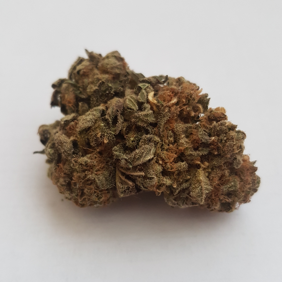 cannabistest1's tweet photo. God Strain
Highest Measured Values
Total THC 20.57%
Total CBD 0.04%
Total CBG 0.43%

#cbdnews #hplc #cannabistest #cbdtest #hemptest #hempoil #hempfarm #hempnews #hempCigarettes #cbdoil #cbdedibles #hempfarm #CannabisCommunity #Cannabismedizin #cannabismedicinalja #canna https://t.co/U0q2LGPAgY