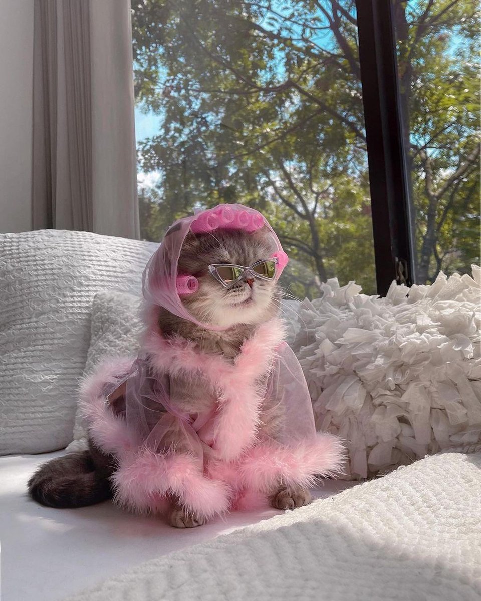 PrettyLittleThing tweet media