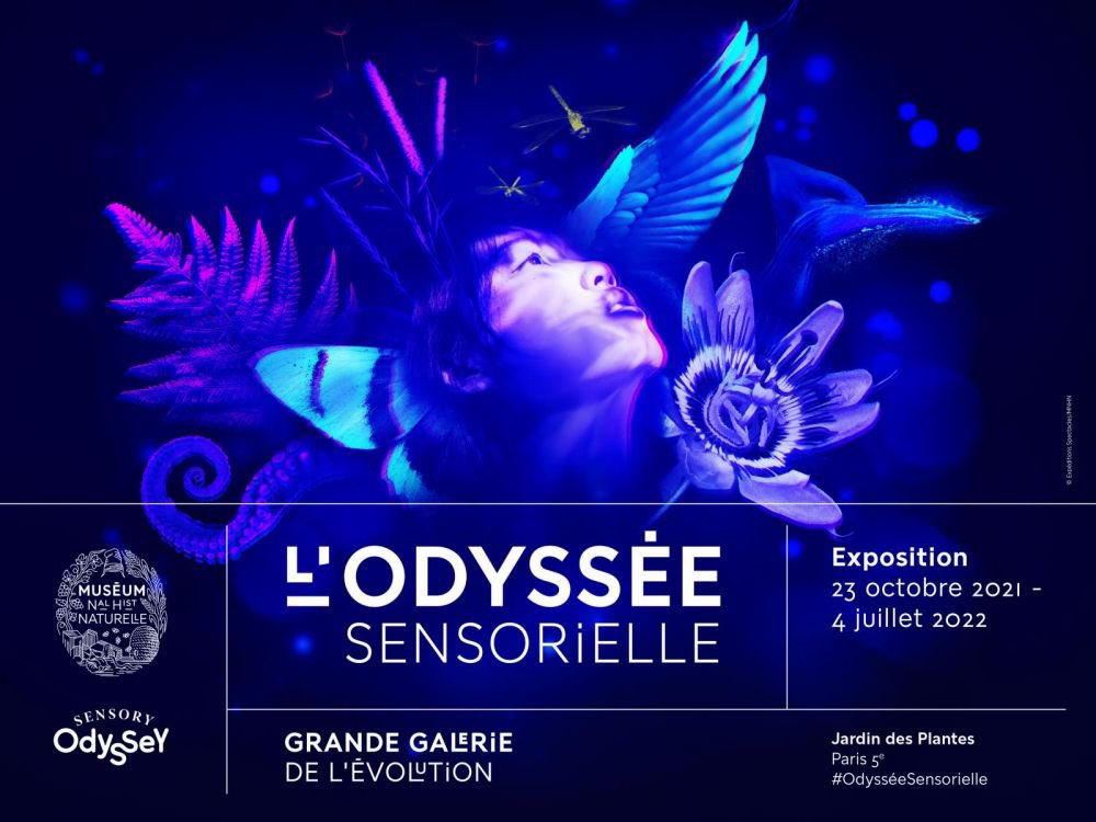 lola_mlk's tweet photo. 🌱 Fabuleuse, inédite, méditative, magnifique, apaisante… aucun mot n’est assez fort pour décrire la nouvelle expérience @Sensory_Odyssey au @Le_Museum !

Une véritable immersion sensorielle au cœur de la biodiversité 🐝🦇🦭🐛🦥

Déjà hâte d’y retourner ! #OdysséeSensorielle https://t.co/TdfMPKSn5C
