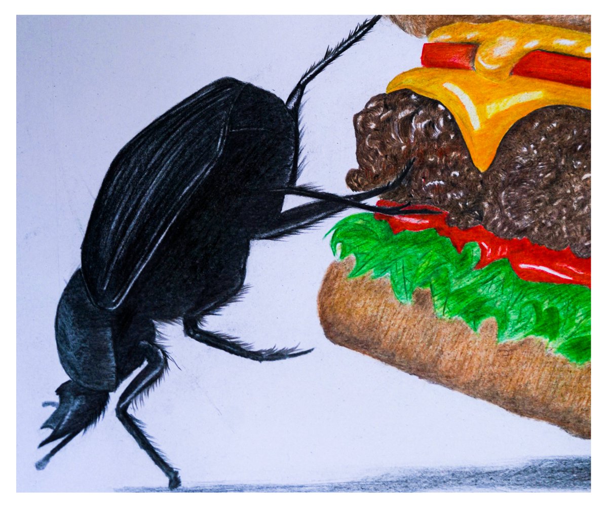 The Art of Health tweet media