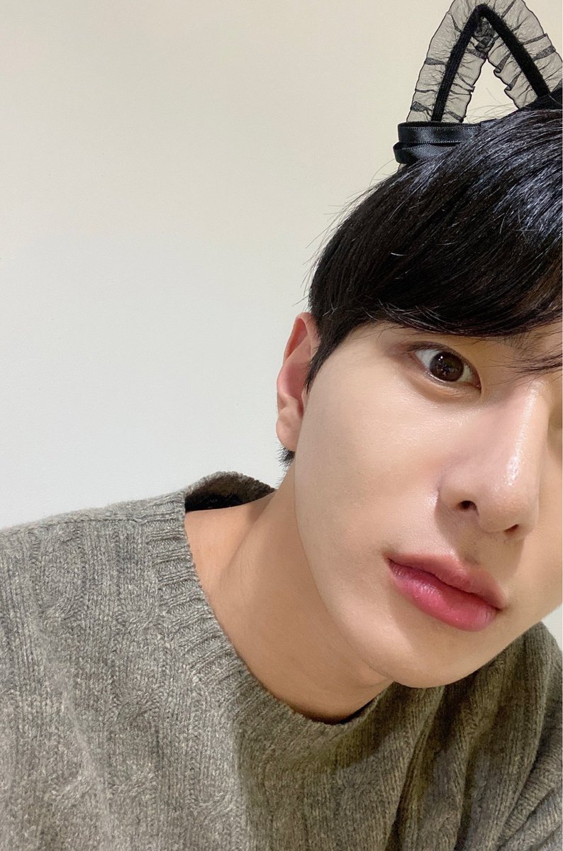 보민저장소 tweet media