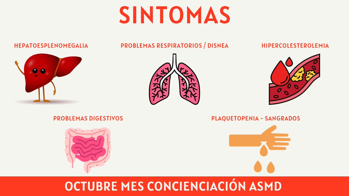 Seguimos divulgando sobre #ASMD Según una encuesta de nuestra asociación, la mayoría de pacientes Niemann-Pick B presentan los primeros síntomas entre los 2 y 6 años de edad.  Hepatoesplenomegalia, disnea, problemas digestivos y sangrados frecuentes son algunos de ellos.