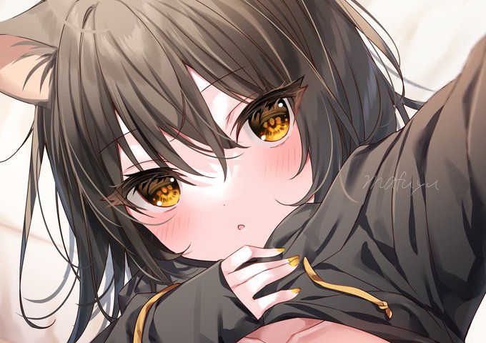 10月29日発売の『電撃萌王12月号』にて1枚描きおろし掲載されております🐈
よろしくお願いいたします～ 